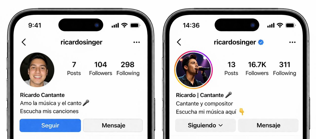 Transformación de presencia digital - Músico